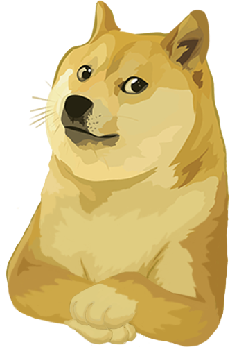 Wait Wat Dogecoin Bridge To Ethereum And Back